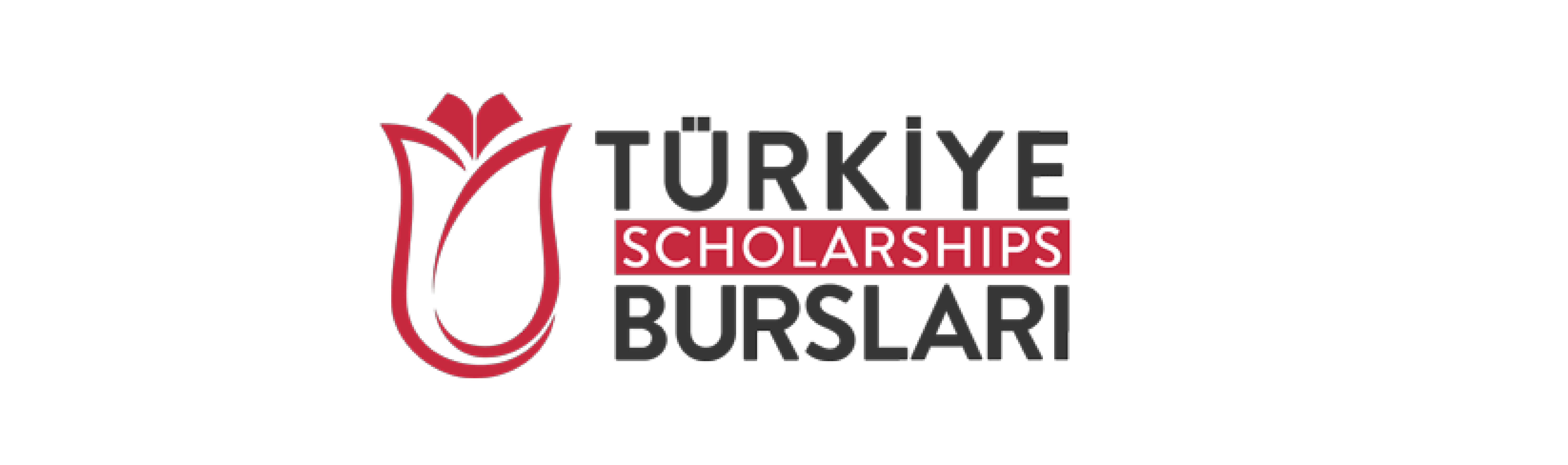 CONVOCATORIA ABIERTA AL "PROGRAMA DE BECAS TURKIYE 2025"