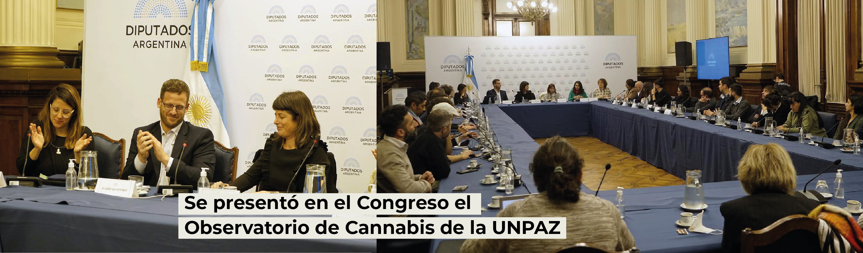Se presentó en el Congreso el Observatorio de Cannabis de la UNPAZ 