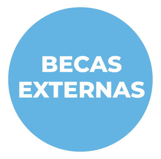 becas externas