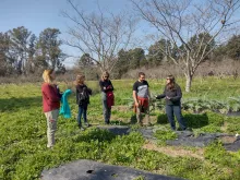 TENDIENDO PUENTES DE INNOVACIÓN Y VINCULACIÓN ENTRE LA CARRERA DE BIOTECNOLOGÍA Y EL MINISTERIO DE DESARROLLO AGRARIO DE PBA